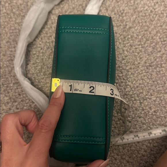 BRAND NEW ANYA HINDMARCH Crossbody Wink Tassle Bag Emerald Circus - Picture 13 of 14